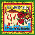 Capa album The Big Mountain